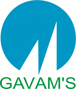 Gavams Power Solutions