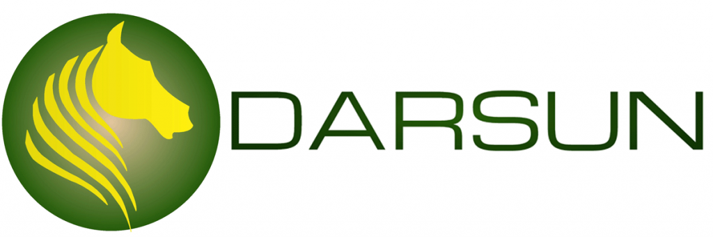Darsun Energy Private Limited