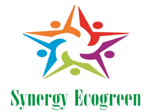 SYNERGY ECOGREEN INFRATECH  PRIVATE LIMITED