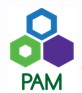 PAM Energy Private Limited